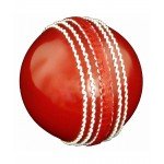 Cricket Ball